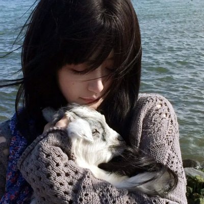 小镇猪事