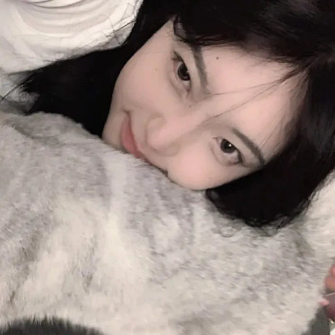 圣诞狗狗救援